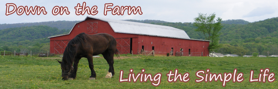 Ritter Farms Internet Radio station logo